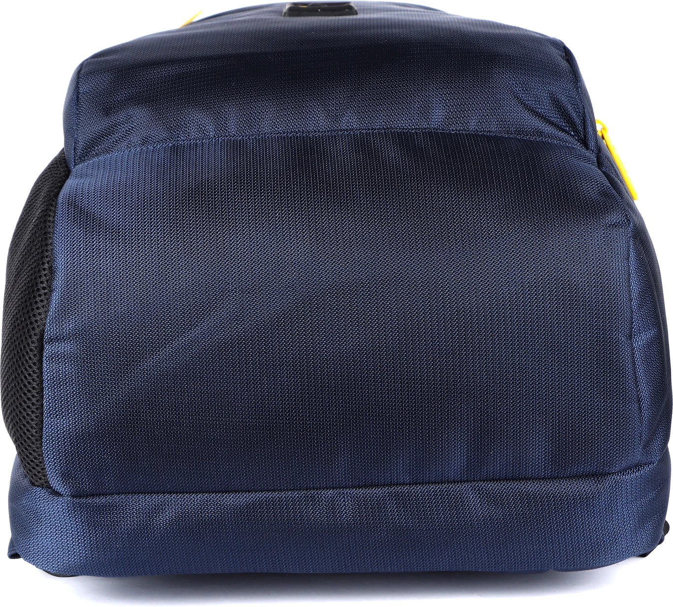 Gear Medium 30 L Laptop Backpack Space 4 (Blue)