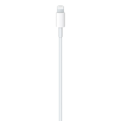 Charger & Cable Combo (Apple 20W USB-C Power Adapter for iPhone, iPad & AirPods and Apple USB-C to Lightning Cable, 1m)