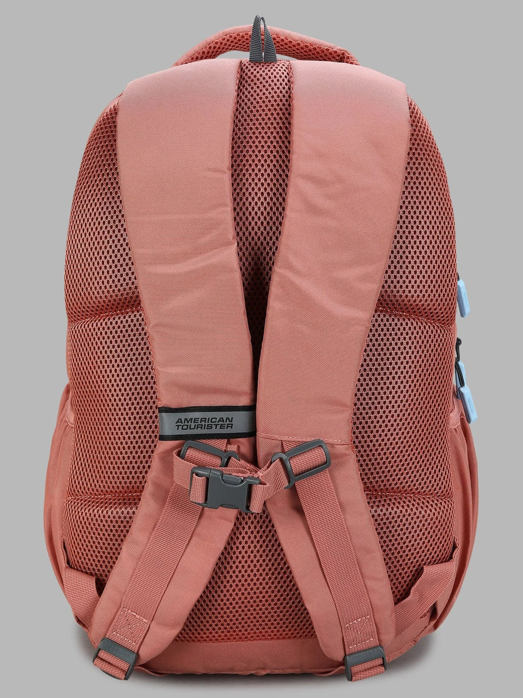 AMERICAN TOURISTER Medium 24 L Backpack Sest 3.0 (Multicolor)